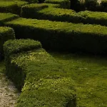 Castello Del Calcione Lucignano